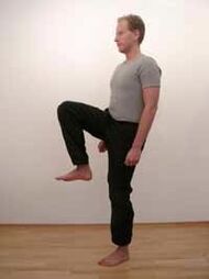 голем чекор за зголемување на потенцијата