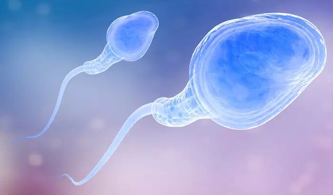 Сперматозоидите може да бидат присутни во предејакулатот на мажот